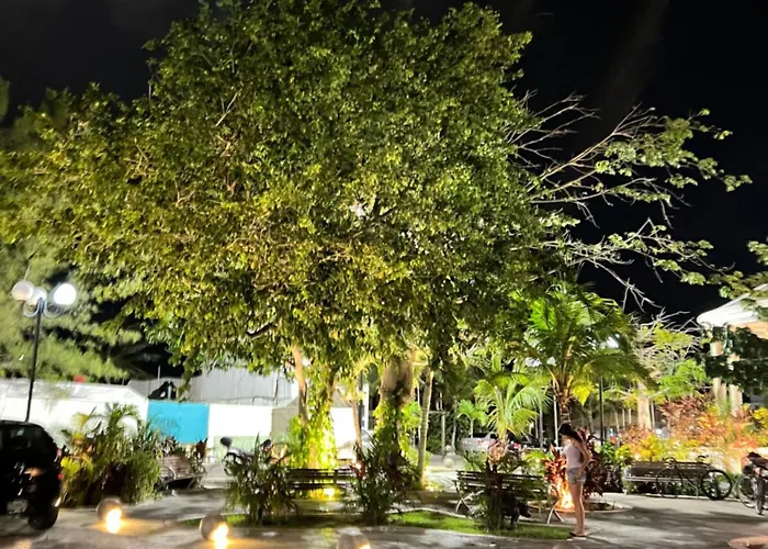 Hermoso Departamento En